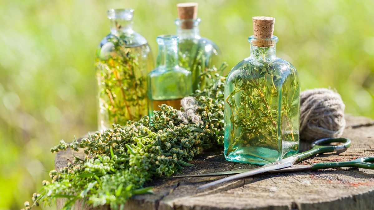 Licores digestivos: Los 4 mejores para tomar después de comer | Eurolotes