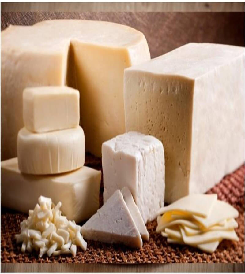 Todas las clases, variedades y tipos de quesos – Eurolotes